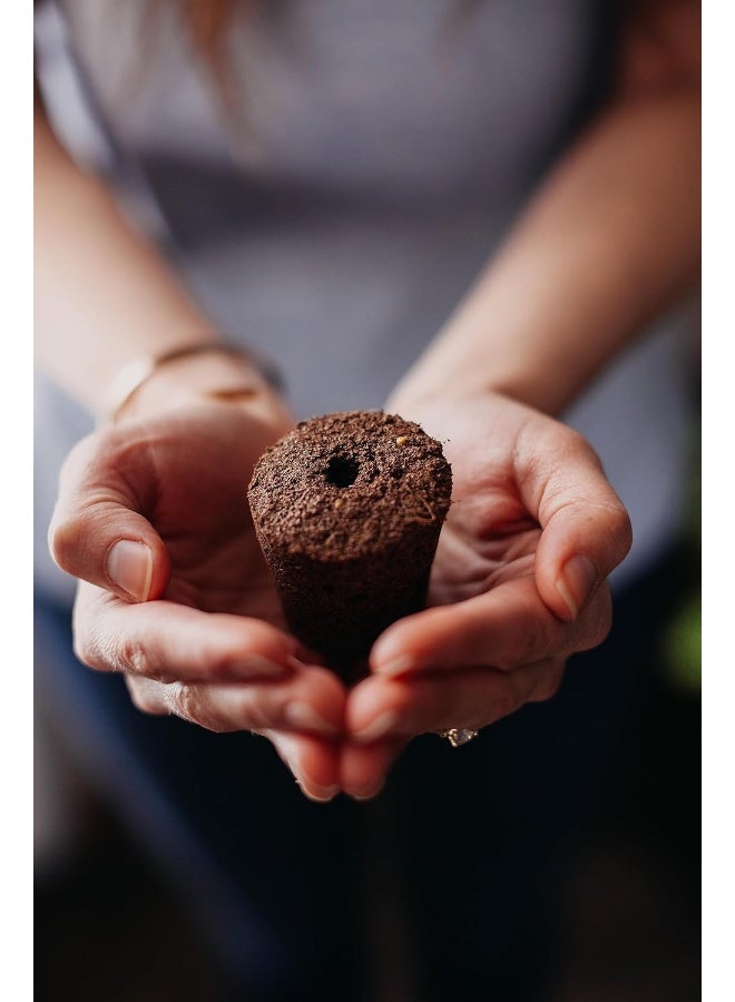 CLICK AND GROW أقراص نبات الذرة الزرقاء من كليك آند جرو، عبوة 3 قطع - Image 2