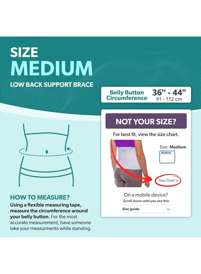 BraceAbility Women's Back Brace for Female Lower Back Pain - Lightweight Soft White Elastic Lumbar Compression Support Belt is Discreet Under Clothes for Ladies, Nurses, Walking (Medium) - Image 2