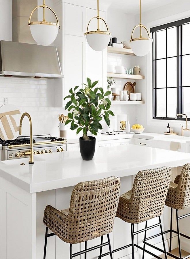 Briful نباتات اصطناعية من بريفول، بطول 16.5 بوصة، شجرة غار صناعية في وعاء أسود، نباتات خضراء واقعية، نباتات اصطناعية داخلية لتزيين المنزل، ديكور ريفي، حمام، غرفة معيشة، قطع مركزية لطاولات حفلات الزفاف. - Image 4