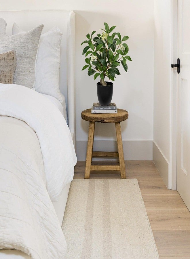 Briful نباتات اصطناعية من بريفول، بطول 16.5 بوصة، شجرة غار صناعية في وعاء أسود، نباتات خضراء واقعية، نباتات اصطناعية داخلية لتزيين المنزل، ديكور ريفي، حمام، غرفة معيشة، قطع مركزية لطاولات حفلات الزفاف. - Image 5