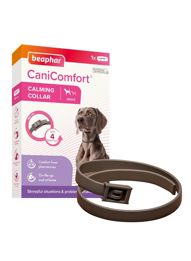 بيفار طوق CaniComfort المهدئ للكلاب البالغة حتى طول 65 سم يوفر دعمًا مستمرًا للكلاب القلقة والمتوترة يبدأ العمل في 15 دقيقة ويساعد في تخفيف الخوف من الألعاب النارية - Image 2