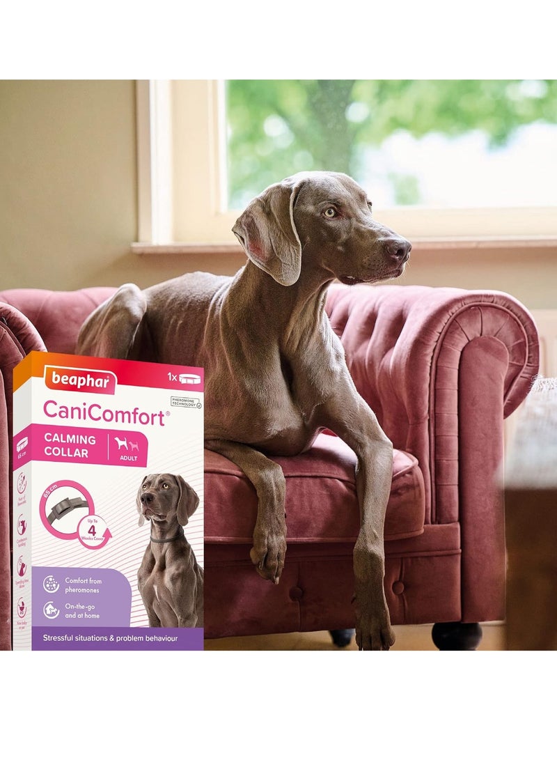 بيفار طوق CaniComfort المهدئ للكلاب البالغة حتى طول 65 سم يوفر دعمًا مستمرًا للكلاب القلقة والمتوترة يبدأ العمل في 15 دقيقة ويساعد في تخفيف الخوف من الألعاب النارية - Image 4