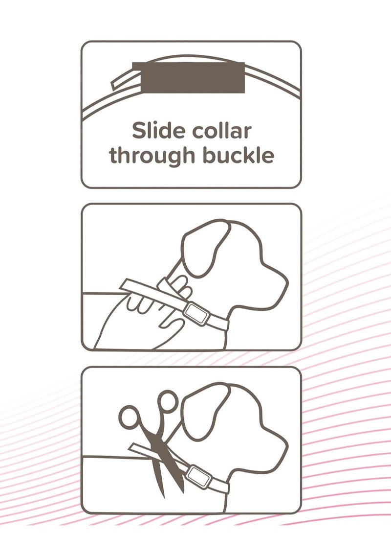بيفار طوق CaniComfort المهدئ للكلاب البالغة حتى طول 65 سم يوفر دعمًا مستمرًا للكلاب القلقة والمتوترة يبدأ العمل في 15 دقيقة ويساعد في تخفيف الخوف من الألعاب النارية - Image 5