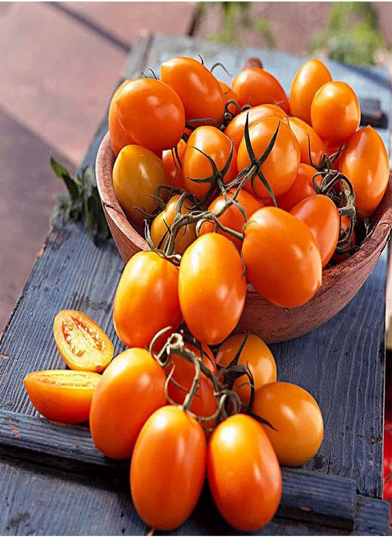 500pcs Mix Tomato Seeds