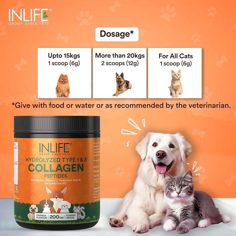 Inlife كولاجين للكلاب والقطط | مسحوق كولاجين مهدرج للبشرة والفراء والمفاصل | مكون مثبت سريرياً مع البيوتين وفيتامين C وحمض الهيالورونيك والجلوكوزامين | مكمل غذائي للحيوانات الأليفة (برتقالي) - Image 3