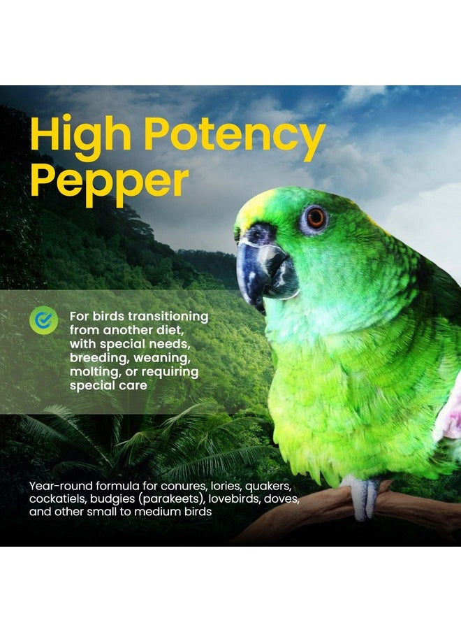 Harrison's Bird Foods Harrison's Bird Foods High Potency Pepper Certified Organic Non-GMO Formula Pet Bird Food  - Image 4