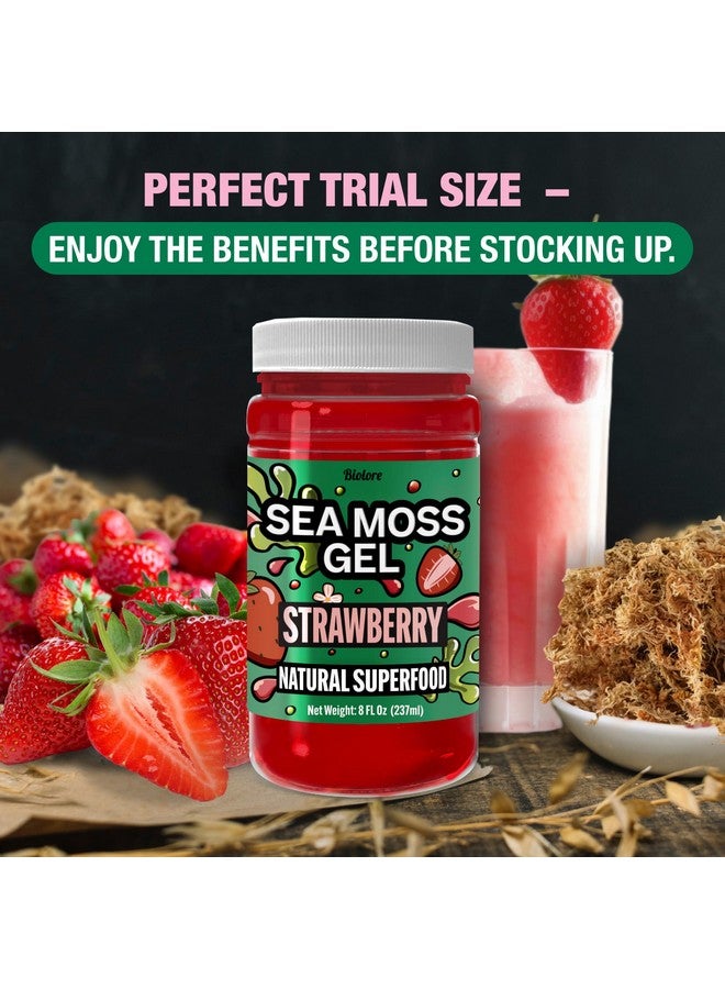 Biolore Strawberry Sea Moss Gel Made in USA Raw Wildcrafted Irish Seamoss, Essential Vitamins, Trace Minerals, Vegan Superfood, Trial Size 8 Fl Oz (Pack of 1) - Image 3