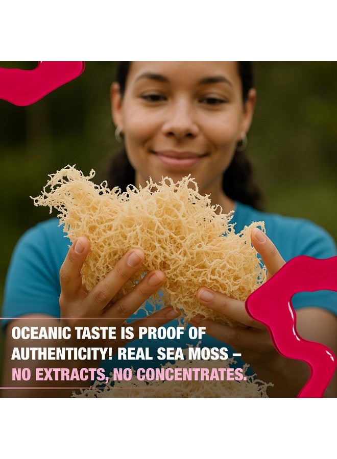 Biolore Strawberry Sea Moss Gel Made in USA Raw Wildcrafted Irish Seamoss, Essential Vitamins, Trace Minerals, Vegan Superfood, Trial Size 8 Fl Oz (Pack of 1) - Image 5