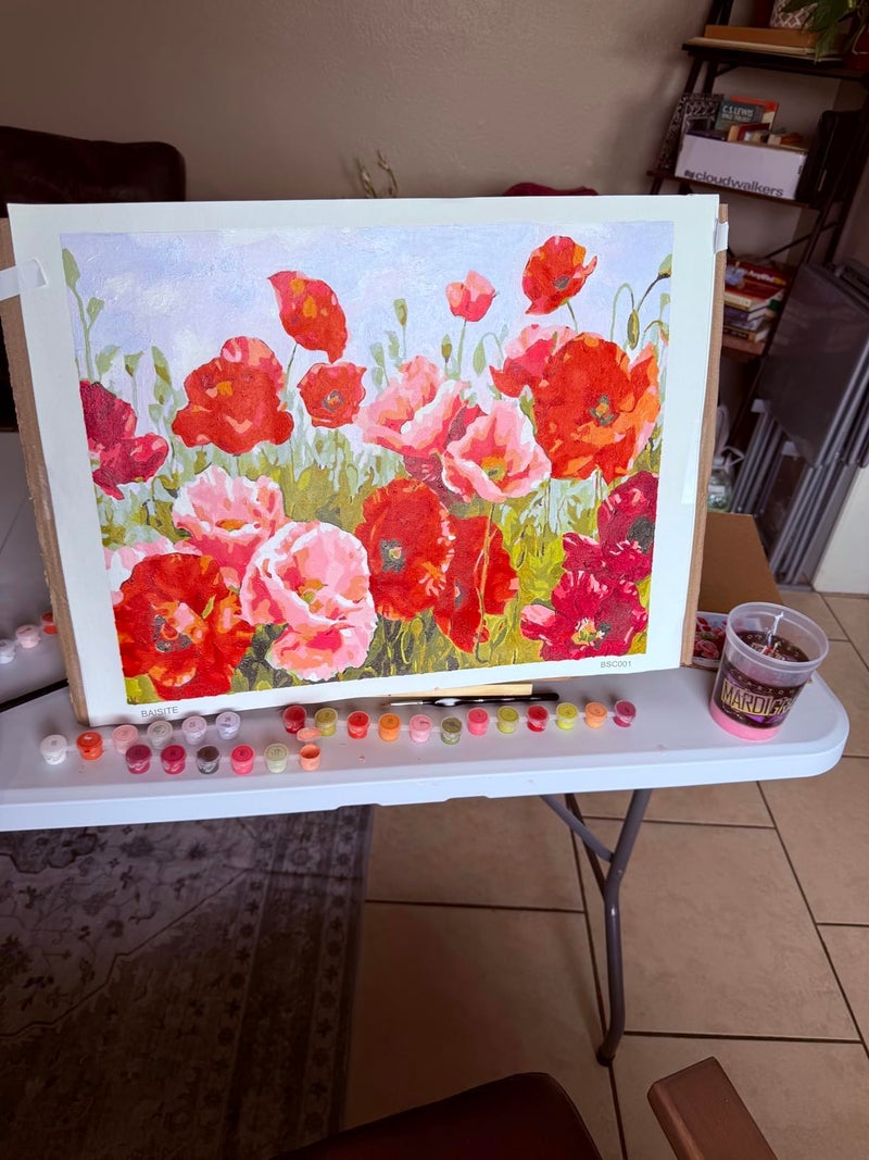 BAISITE Paint by Numbers Kit for Adults Beginners,20" Wx16 L Canvas for Painting Kits for Adults in Colorful Box Poppy Flowers-BSC001-Already Stretched on a Wooden Frame - Image 2