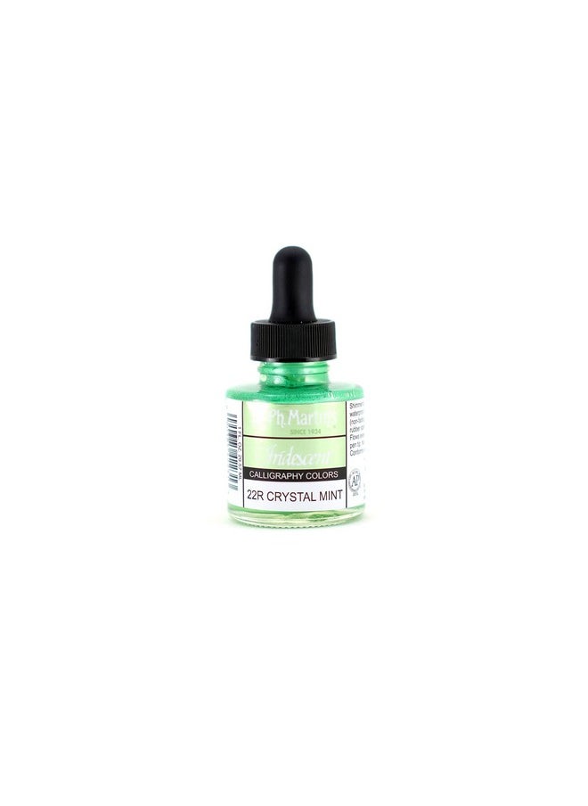 Dr. Ph. Martin's Iridescent Calligraphy Color (22R) Ink Bottle, 1.0 oz, Crystal Mint, 1 Bottle - pzsku/Z021720CFC56528C97FFFZ/45/_/1736426641/a70c0ad0-e181-4029-9054-d388d5acf9ec