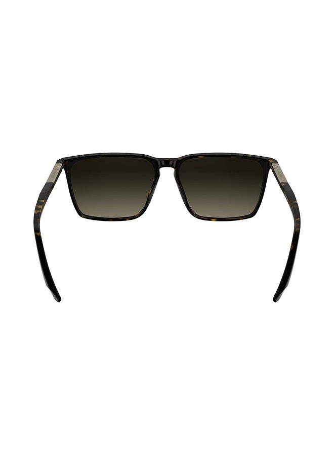 CALVIN KLEIN نظارات شمسية كاملة الإطار من كالفن كلاين CK25505S 5815 (240) هافانا - Image 3