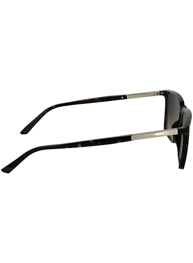 CALVIN KLEIN نظارات شمسية كاملة الإطار من كالفن كلاين CK25505S 5815 (240) هافانا - Image 5