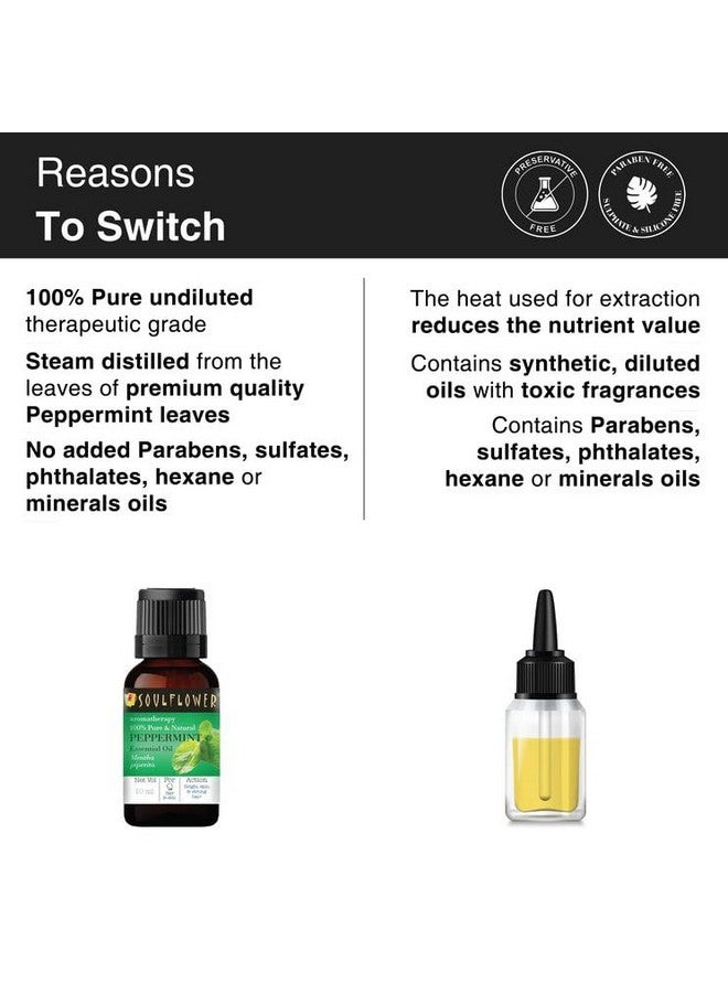 Soulflower Soulflower Peppermint Essential Oil for Skin & Hair Growth, Hair Fall Control, Scalp |100% Pure & Natural Therapeutic Grade, Undiluted, Ecocert Cosmos Organic Certified, Mentha Piperita |10ml - Image 2