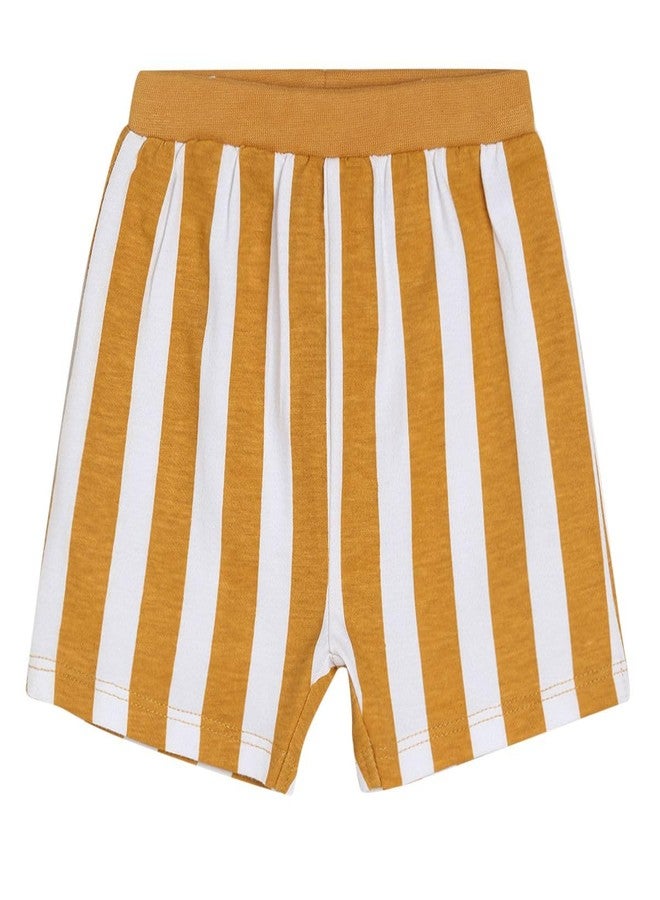 miniklub Baby Knitted Cotton Multi Color Short, Pack Of 3 (3-6M) - Image 3