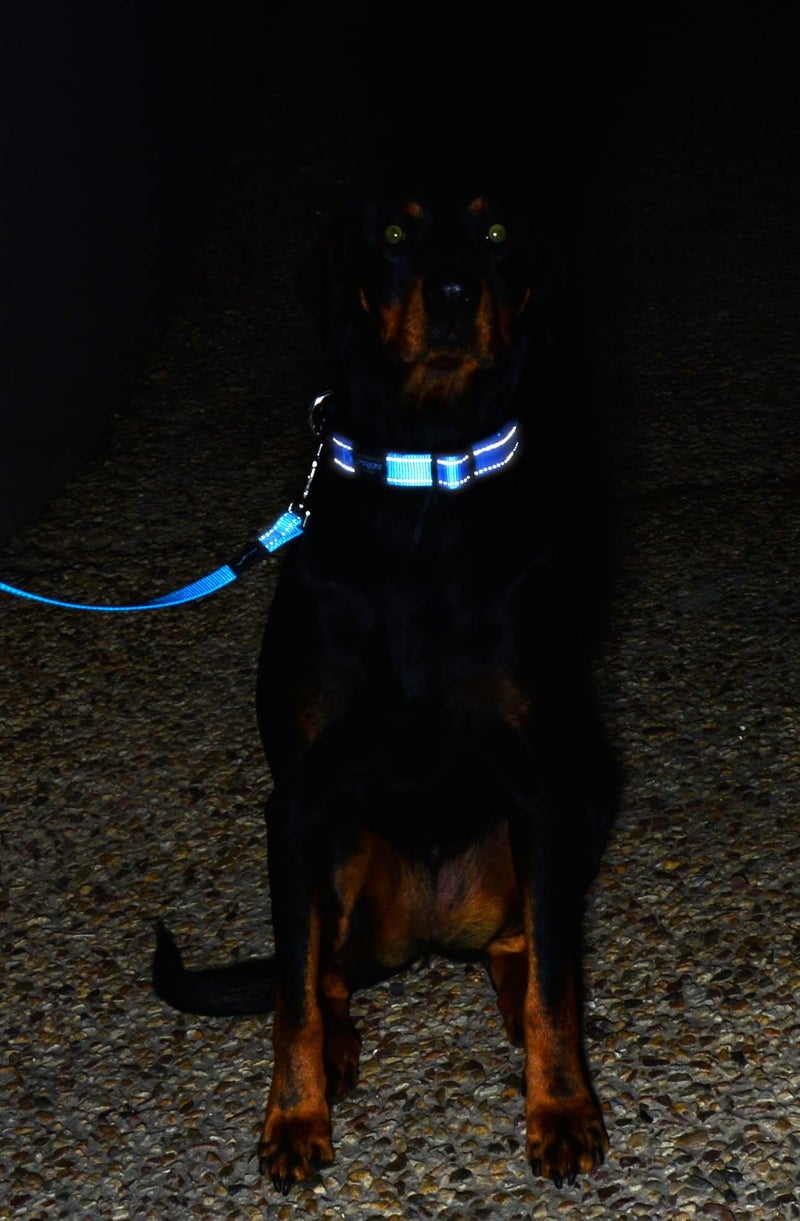 Rogz Reflective Dog Leash for Small Dogs, 3/8" wide, 6' long, Yellow - Image 4