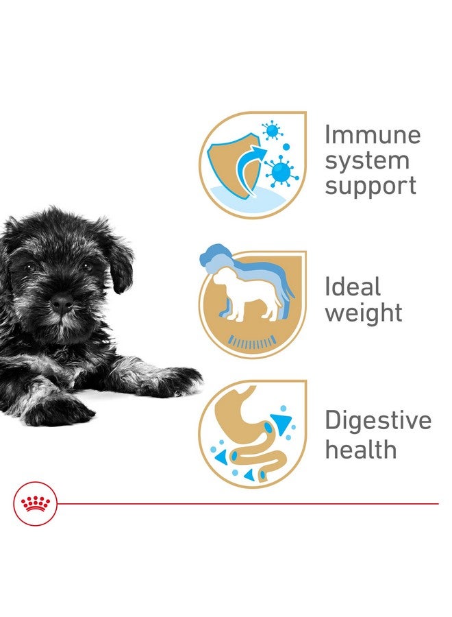 رويال كانين طعام جاف للكلاب من رويال كانين مينيتشر شناوزر، مناسب لسلالات الجراء، كيس 2.5 رطل - Image 4