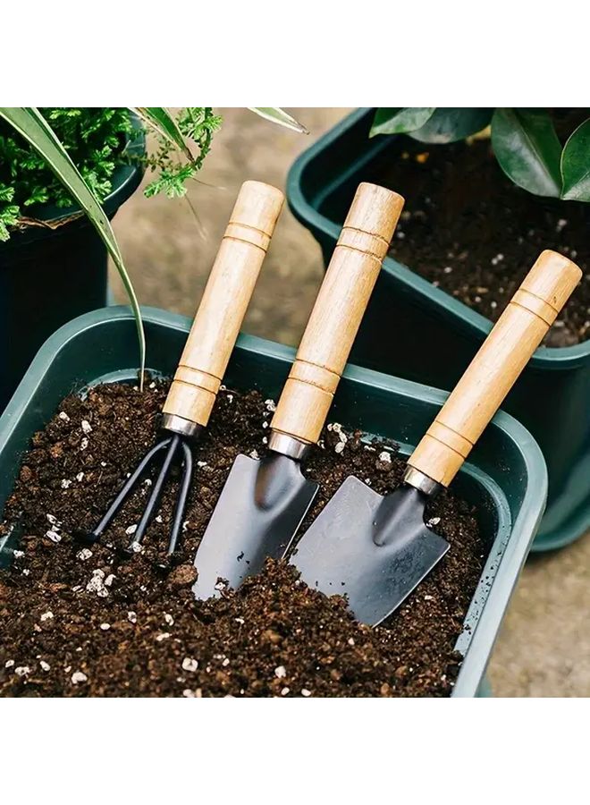 3 قطع مجموعة أدوات الحديقة بمقابض معدنية وخشبية متينة لنباتات الأصص - Image 3