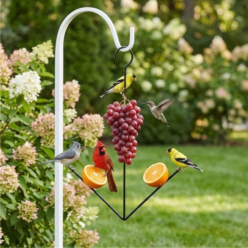 3/1PCS Hanging Fruit Feeders for Outdoor Gardens Yards Black Iron Double Fork Bird Feeder Oriole Hummingbird Bird Food Holder - Image 3