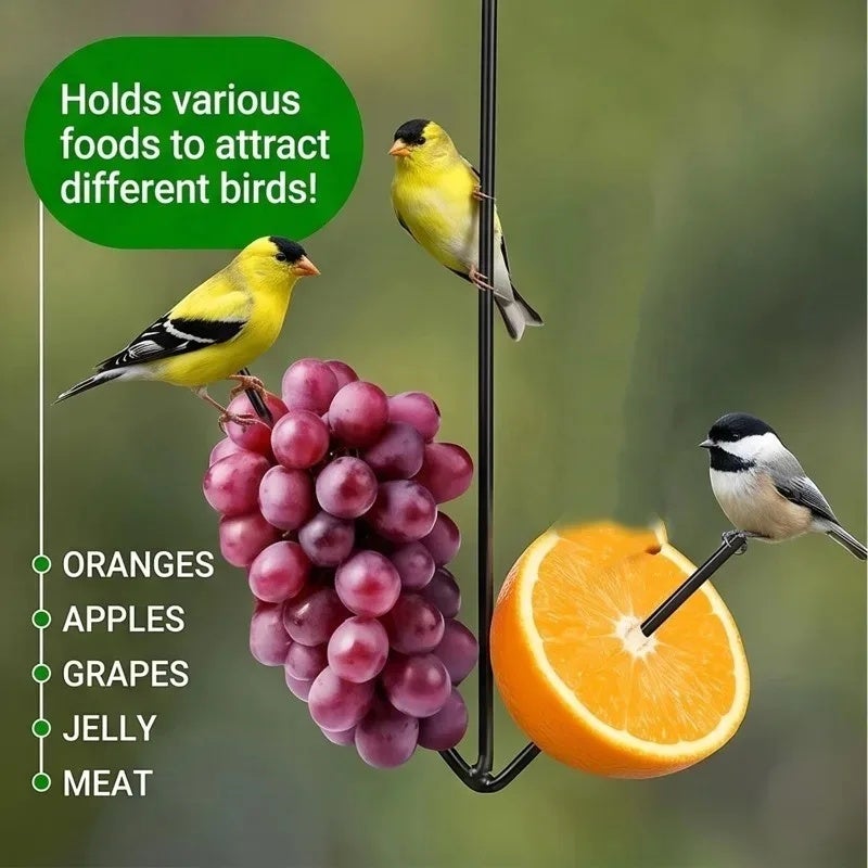 3/1PCS Hanging Fruit Feeders for Outdoor Gardens Yards Black Iron Double Fork Bird Feeder Oriole Hummingbird Bird Food Holder - Image 5