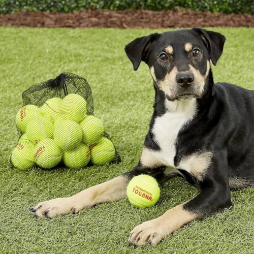 Tourna Pressureless Tennis Balls with 40 Ball Vinyl Tote, Yellow - Image 3