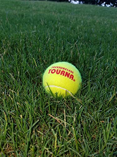 Tourna Pressureless Tennis Balls with 40 Ball Vinyl Tote, Yellow - Image 2