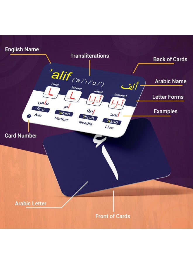 Briston Arabic Alphabet Flash Cards 28 Educational Language Learning Resource with Pictures for Memory & Sight Words - Fun Game Play - Grade School, Classroom, or Homeschool Supplies Briston Brand  - Image 3