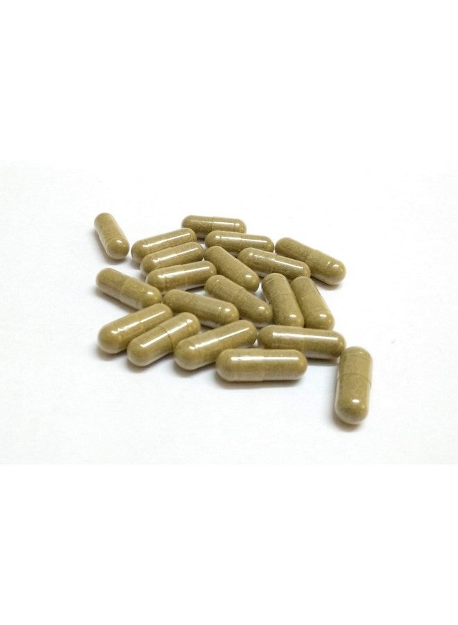 Neotea Tulasi (Holy Basil) Capsules | Natural Herbal Supplement for Respiratory Health | Boosts Immunity | Relieves Cough & Cold | Supports Wellness | 100% Pure Tulsi Extract | 500mg - 100 Capsules - Image 5