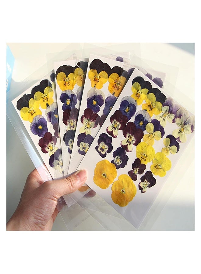 54 Pcs Dried Pressed Flowers for Resin DIY Art Crafts Natural Dry Floral Epoxy Jewelry Real Flower Decor Cakes Phone Cases Candles Handmade Soap Purple Pansy - Image 1