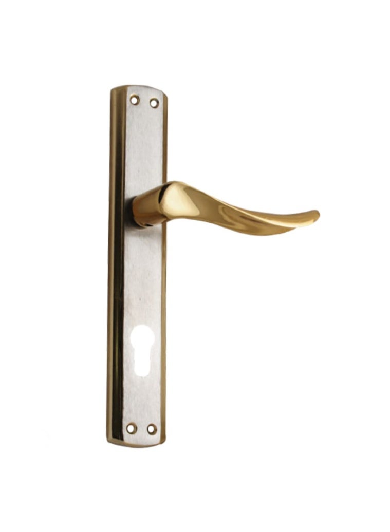 Premium Turkish Door Handles in Gold and Silver – Elegant Design with Back Plate and Screws - Image 4