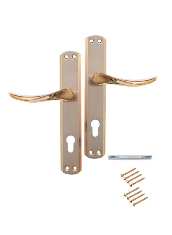 Premium Turkish Door Handles in Gold and Silver – Elegant Design with Back Plate and Screws - Image 3