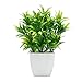 OFFIDIX Faux Plants Mini Potted Plastic Fake Green Plant Artificial Plants Aloe with White Square Pots for Home Decor - Image 2