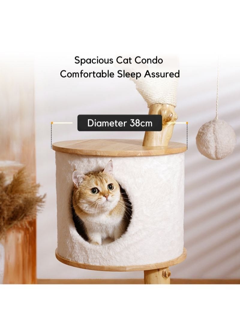 SOPAPETS High-End Large Cat Tree Tower, Premium Rubber Wood, Scratching Posts, Cat Condo, Cat Bed, Removable Soft Cushion, Super Stable (60*60*132cm)