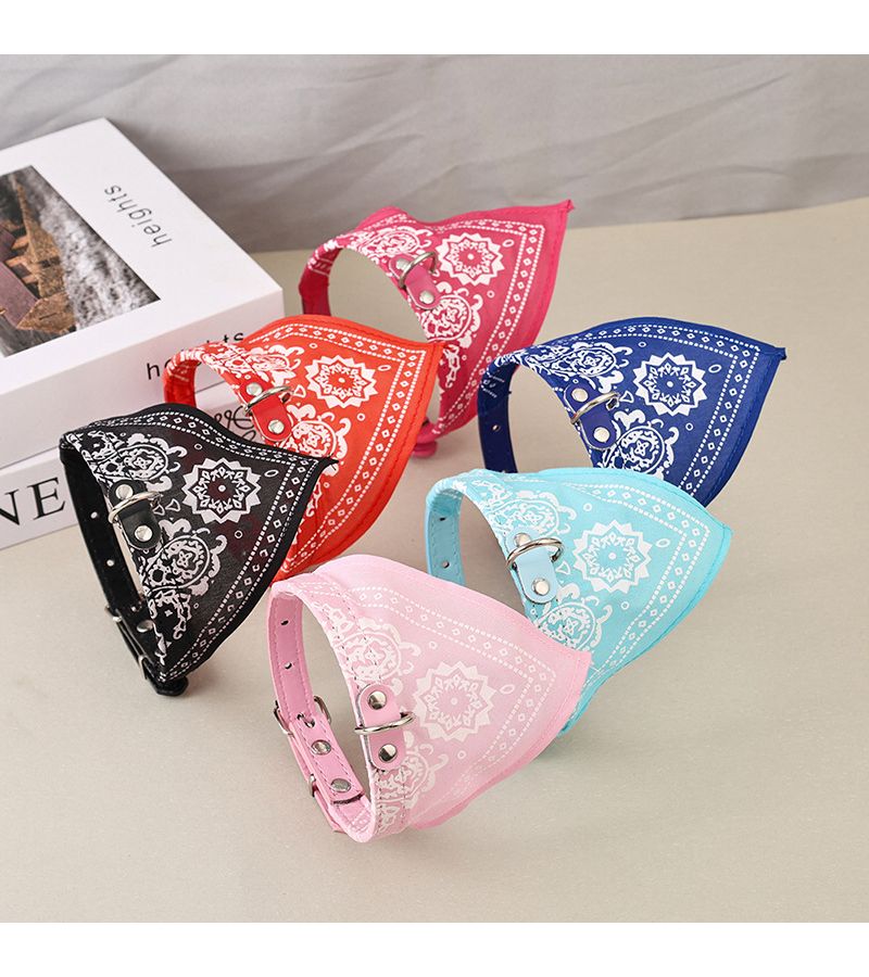 Black XS Printed Pet Cat Collar Small Medium Dog Collar - Image 2