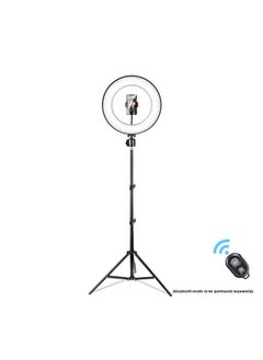 General Live Fill Light 10 Inch Floor Mobile Phone Bracket Shooting Ring Light Led Camera Outdoor Photography Fill Light-Specifications:10inch Fill Light + 1.6m Bracket  - Image 4