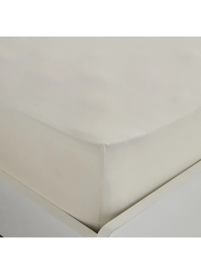 Home Box Essential Cotton Olympic Queen Fitted Sheet 160 x 200 x 36 cm