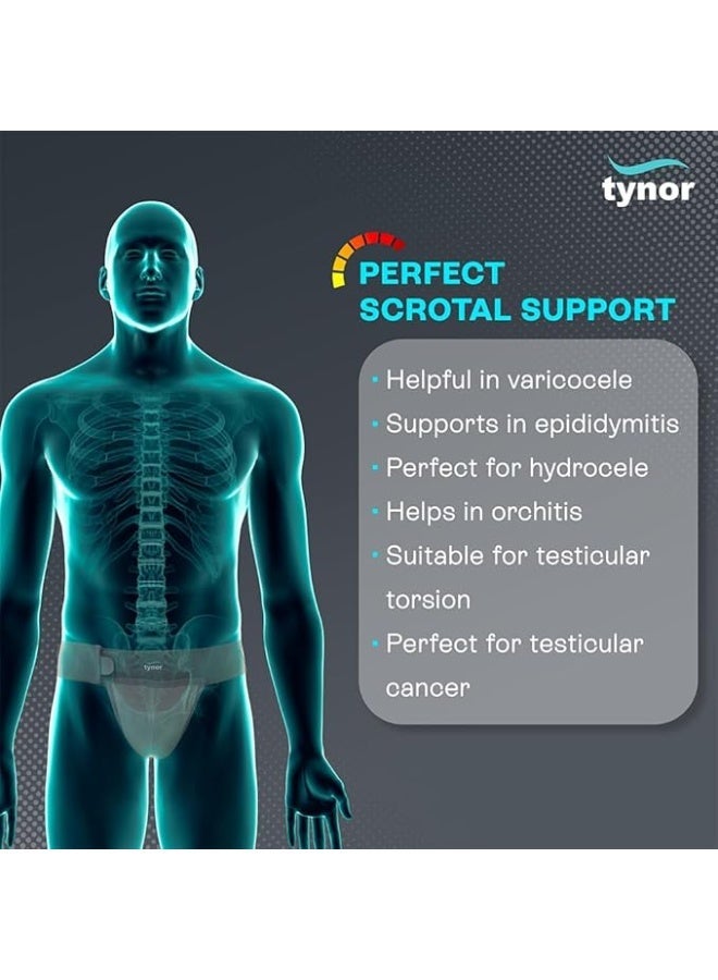 تاينور دعامة كيس الصفن من تاينور (TYNOR)، رمادي، مقاس صغير، قطعة واحدة - Image 3