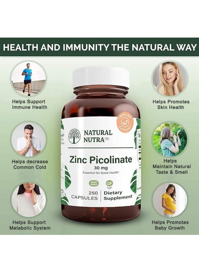 Natural Nutra Zinc Picolinate 30 mg, Double Strength, Raw and Pure, Highly Bioavailable Supplement for Growth and Immune Support, Helps Support Metabolic System, Decrease Common Cold 250 Capsule - Image 3
