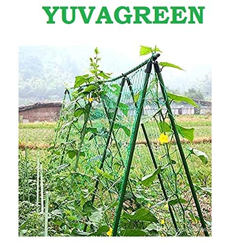 YUVAGREEN Agro Garden Netting Green House Creeper Plant Support Net, 10 Feet X 5 Feet (3 Mtrs X 1.5 Mtrs, Black) Set of 3 - Image 3