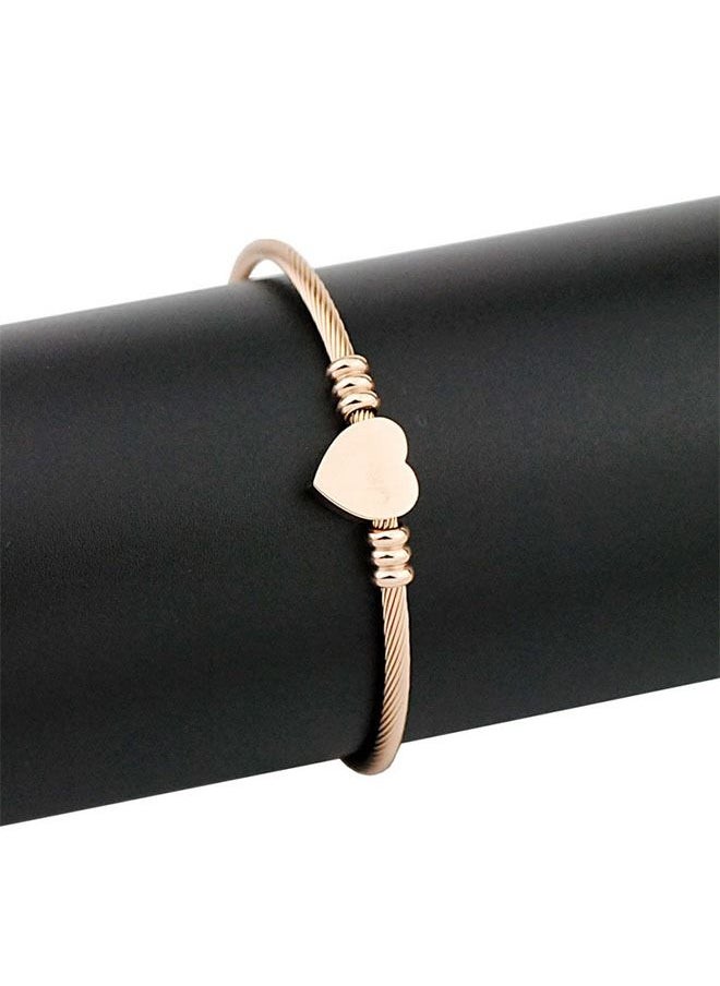 Ant - Stylish Stainless Steel Cable Bangle Bracelet, Wire Braided Bracelet, Love Heart Bangle for Women Jewelry(Rose Gold) - Image 1