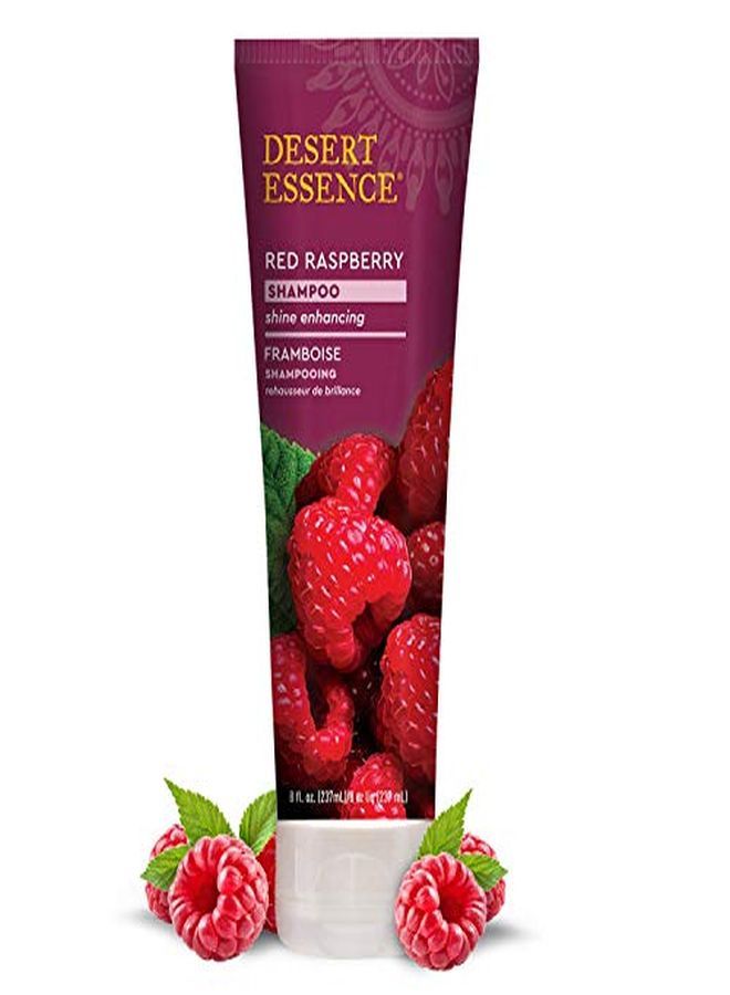 Desert Essence Red Raspberry Shampoo 8 Fl Ounce Gloss & Shine Enhancing  Strengthens Hair Removes Everyday Pollutants Vitamin A & C  Calcium  Magnesium - Image 3