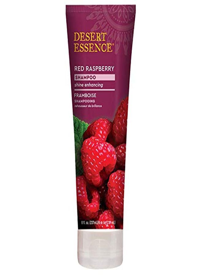 Desert Essence Red Raspberry Shampoo 8 Fl Ounce Gloss & Shine Enhancing  Strengthens Hair Removes Everyday Pollutants Vitamin A & C  Calcium  Magnesium - Image 1