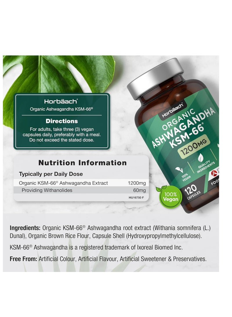 Horbäach Organic Ashwagandha KSM-66 1200mg 120 Vegan Capsules 40 Servings - Image 2