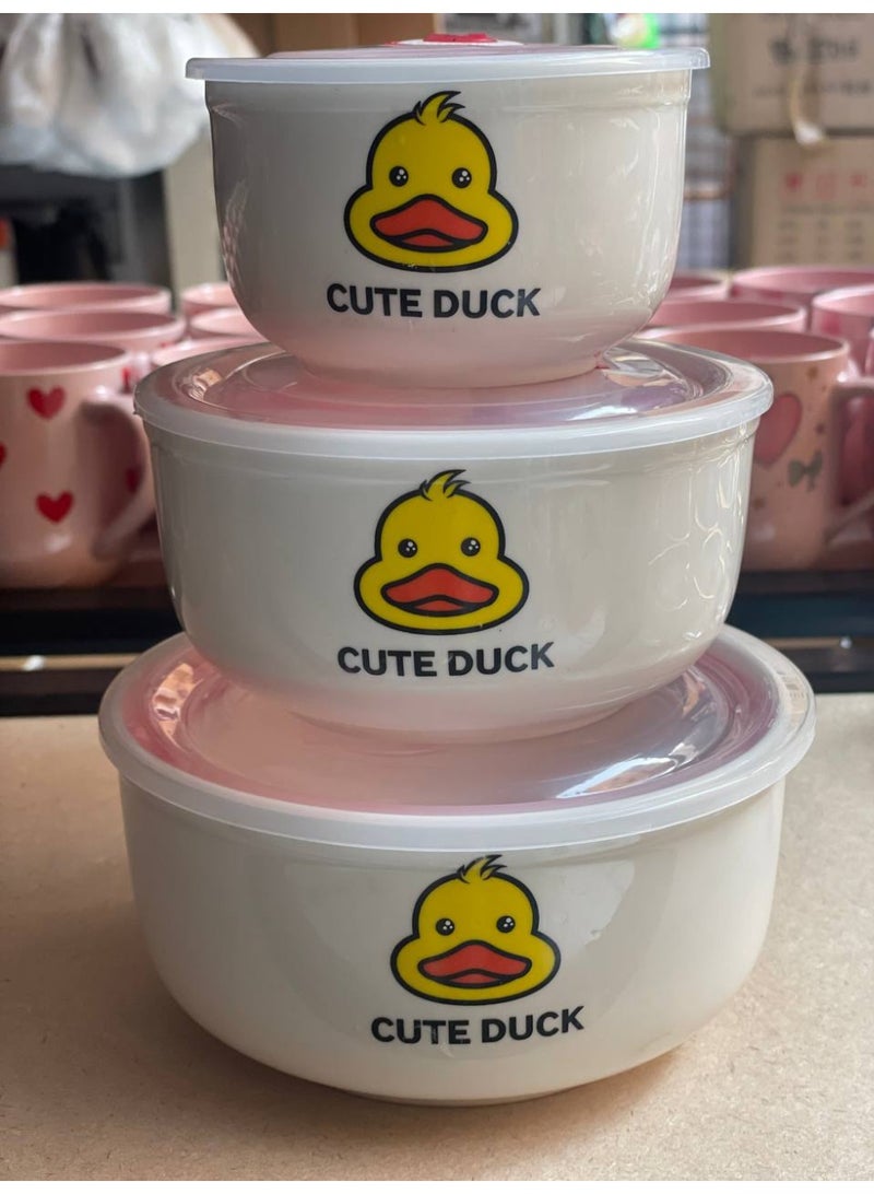 Duck refrigerator container set, 3 porcelain containers with lids, different sizes