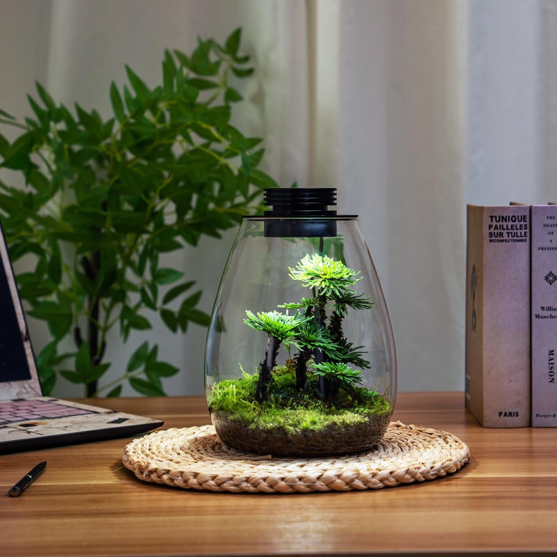 AREPK Desktop Glass Terrarium with Grow Light (H:7.8" D:6.7"), for Succulent, Moss, Miniature Gardening Landscape, Betta Fish Tank, Indoor Plant Growth, Office Home Decoration, Plant Lovers Gifts - Image 5