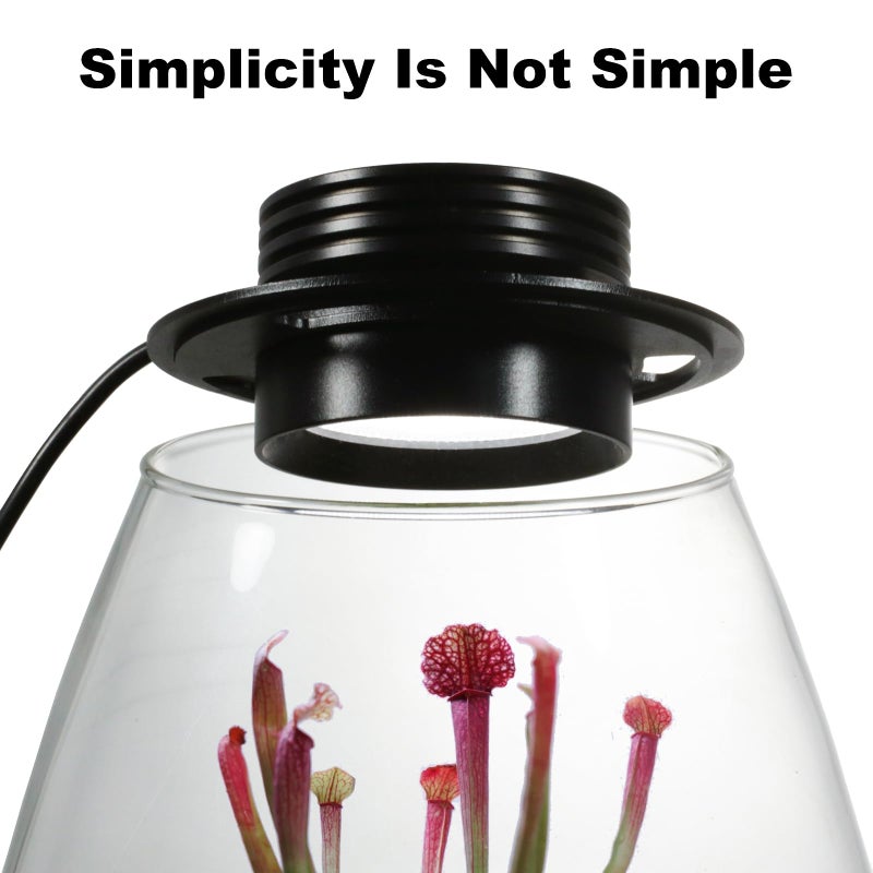 AREPK Desktop Glass Terrarium with Grow Light (H:7.8" D:6.7"), for Succulent, Moss, Miniature Gardening Landscape, Betta Fish Tank, Indoor Plant Growth, Office Home Decoration, Plant Lovers Gifts - Image 2