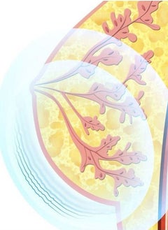 عربست 3 أوضاع حمالة صدر ذكية لاسلكية شحن كهربائية حمالة صدر مدلك للصدر بالاهتزاز الذكي  - Image 5