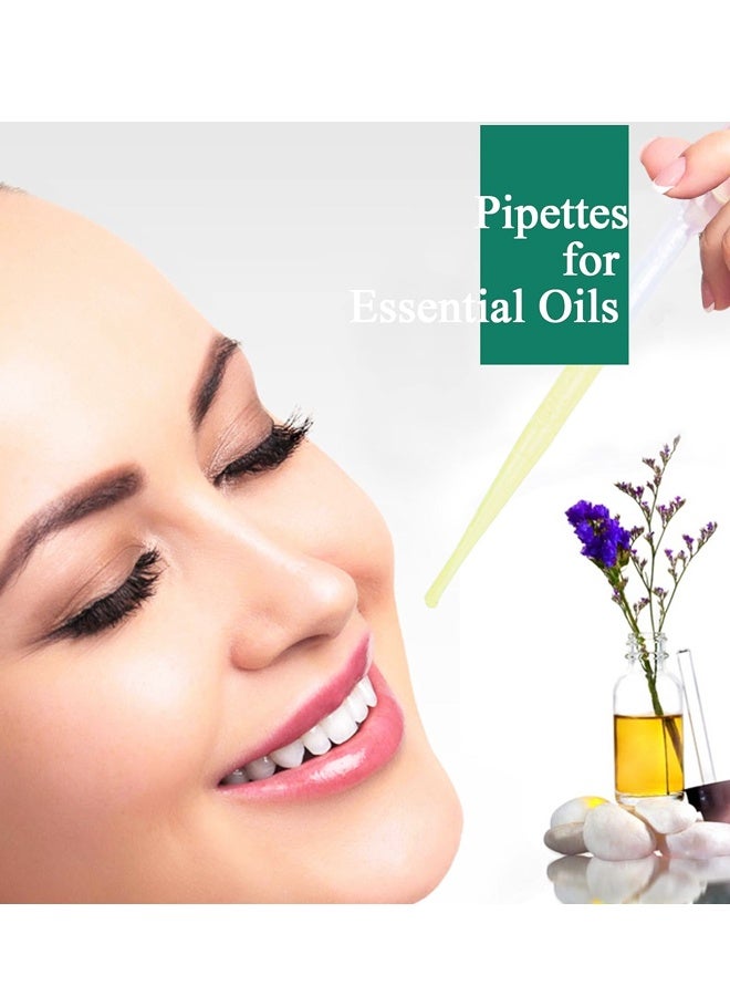 100PCS 3ml Plastic Transfer Pipettes, Dropper Pipette for Lab Essential Oil DIY Art - Image 5