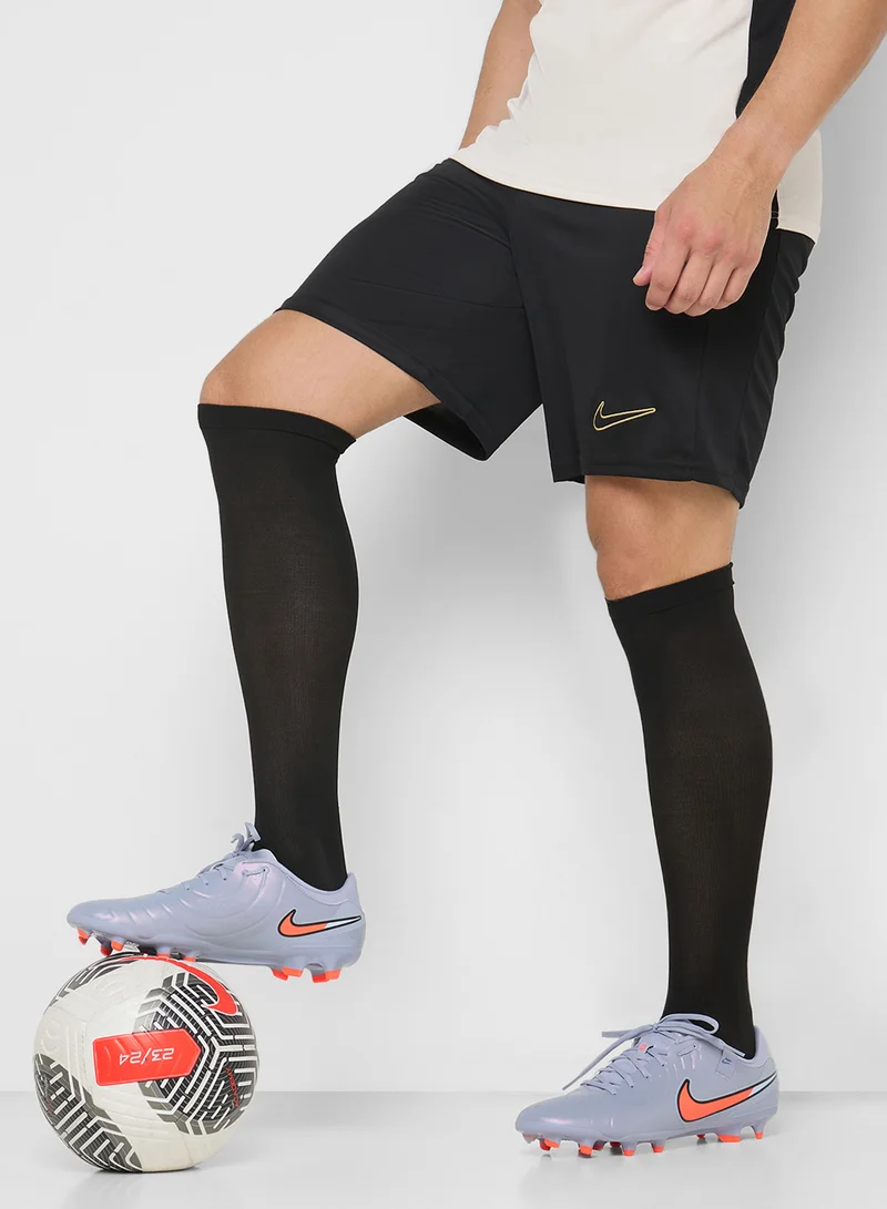 Nike Legend 10 Academy Fg/Mg