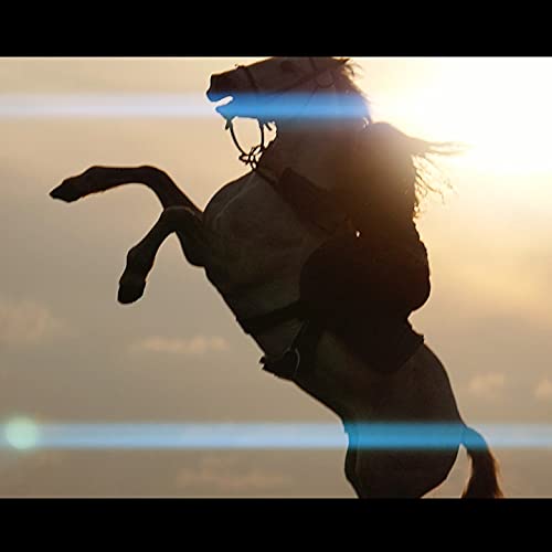 SIRUI 75mm F1.8 1.33X APS-C Anamorphic Lens for E Mount, Blue Flare - Image 4