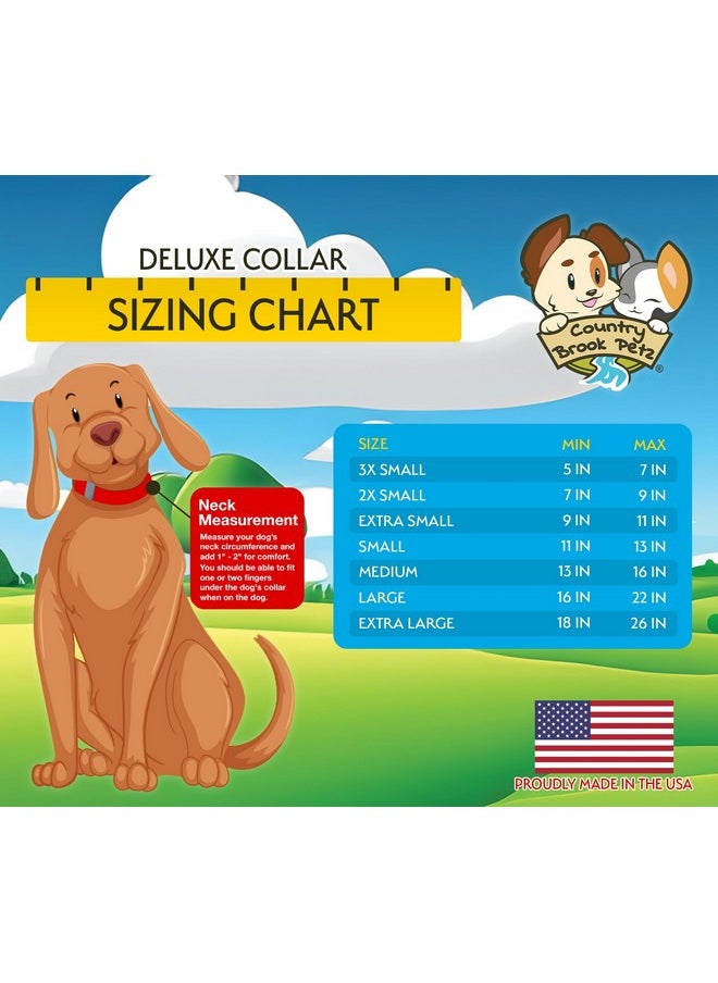 Country Brook Design Country Brook Petz 5/8 Inch Deluxe Adjustable Dog Collar for Small, Medium, Large Breeds - Americana Collection with Patriotic Designs (Patriotic Tribute, Small)  - Image 2